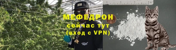 сатива Арсеньев