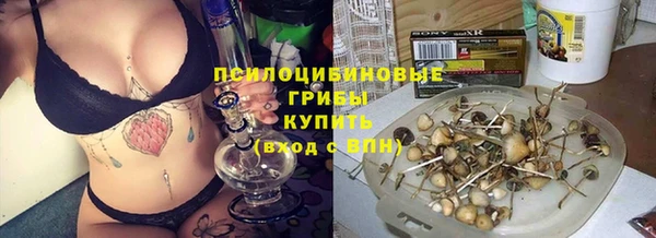 а пвп мука Армянск
