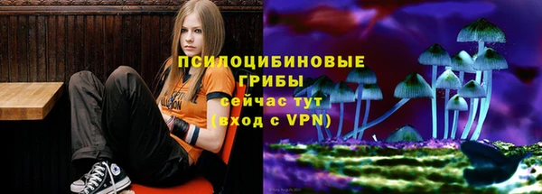 а пвп мука Аркадак