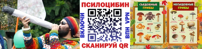Псилоцибиновые грибы прущие грибы  Таруса 